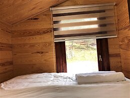 Uzungol Cerrahpasa Suites