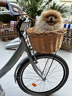 MARITTIMO® Milano Marittima