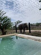 Elephant View Camp