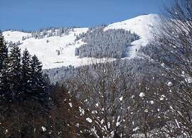 Studio in Saalbach Near Ski Slopes