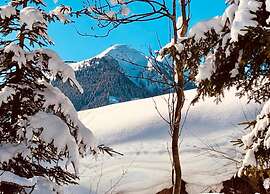 Studio in Saalbach Near Ski Slopes