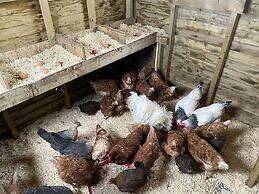 Swift Vogue Edition Caravan