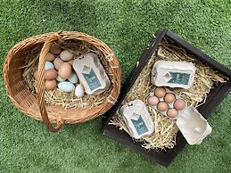 Swift Vogue Edition Caravan