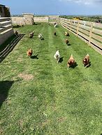 Swift Vogue Edition Caravan