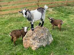 Swift Vogue Edition Caravan