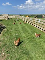 Swift Vogue Edition Caravan