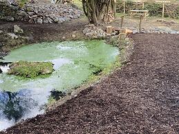 Swift Vogue Edition Caravan