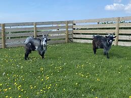 Inviting 2 bed Camper in Holyhead