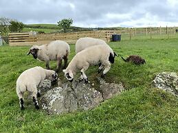 Inviting 2 bed Camper in Holyhead