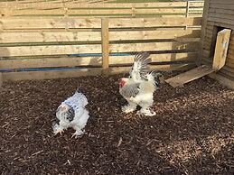 Inviting 2 bed Camper in Holyhead