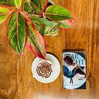 Casa Blanca LakeCity