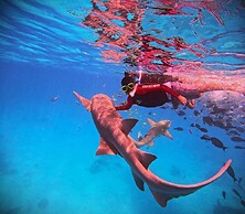 Oceana Inn Maldives