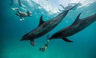 Oceana Inn Maldives