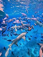 Oceana Inn Maldives