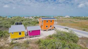 Mr. Ed's Adventures Belize