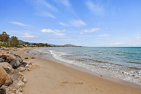 Padaro Midcentury Beach & Garden