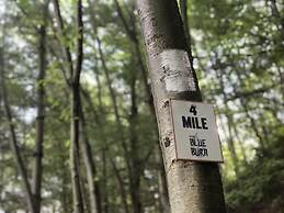 Blue Mountain Resort