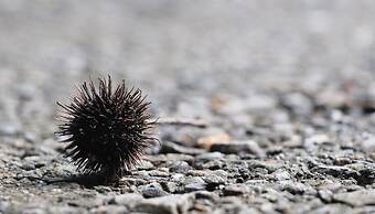 Shuilili mountain village