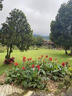 BUYAN RESORT