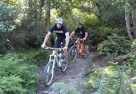 Pudding Hill Lodge & Chalets