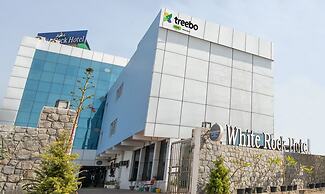 Treebo White Rock, Sohna Road