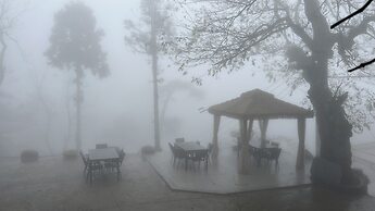 Wesley Rosegarden Lushan