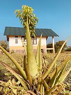 thihawa eco huts yala