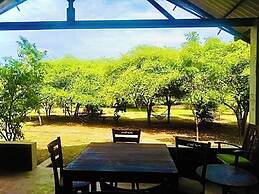 thihawa eco huts yala