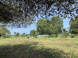 thihawa eco huts yala