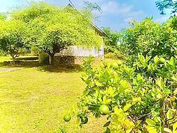 thihawa eco huts yala