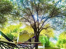 thihawa eco huts yala