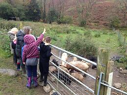 Relax in Mountain View Cottage at Cwmiar Farm