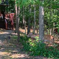 Shenandoah Wilderness Traveler