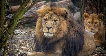 Luxurious 2-bed Apartment in Maidstone Kent