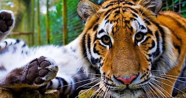 Luxurious 2-bed Apartment in Maidstone Kent