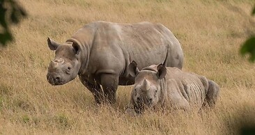 Luxurious 2-bed Apartment in Maidstone Kent