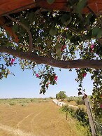 La Villa Paradis Pera