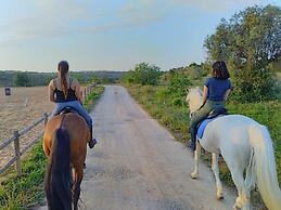 La Villa Paradis Pera