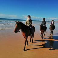 La Villa Paradis Pera