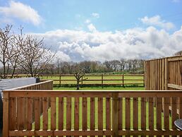 Strawberry Bank - Nuthatch