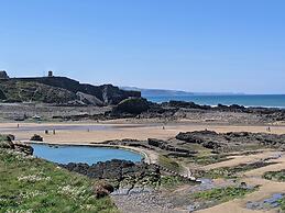 Strawberry Bank - Nuthatch