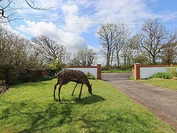 Strawberry Bank - Pipistrelle