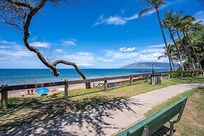Maui Parkshore 315 2 Bedroom Condo