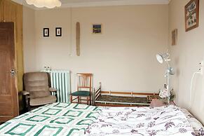 Old Authentic Icelandic Farmhouse