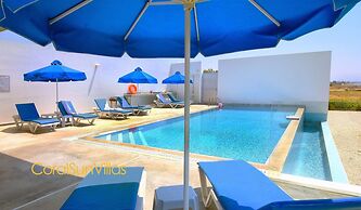 Blue - Beach Front Spectacular Villa Sleeps 10