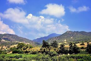 Blue - Beach Front Spectacular Villa Sleeps 10