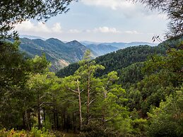 Sanders Arsorama Comfy 1 Bdr Apt w Shared Patio