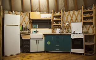 Yurt Located in a Little oak Grove