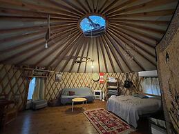 Yurt Located in a Little oak Grove