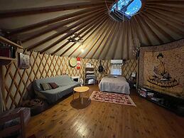Yurt Located in a Little oak Grove Natural and a Private Experience